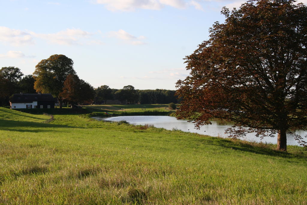 Zwaluwhof Bed and Breakfast Dalfsen Esterno foto