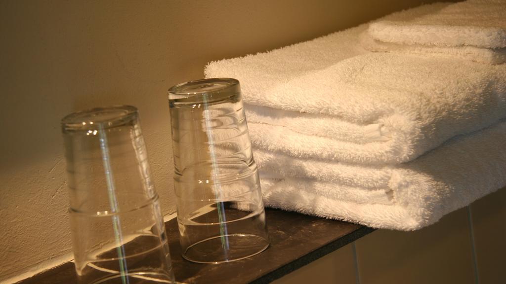 Zwaluwhof Bed and Breakfast Dalfsen Esterno foto