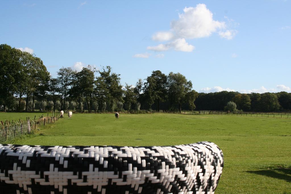 Zwaluwhof Bed and Breakfast Dalfsen Esterno foto